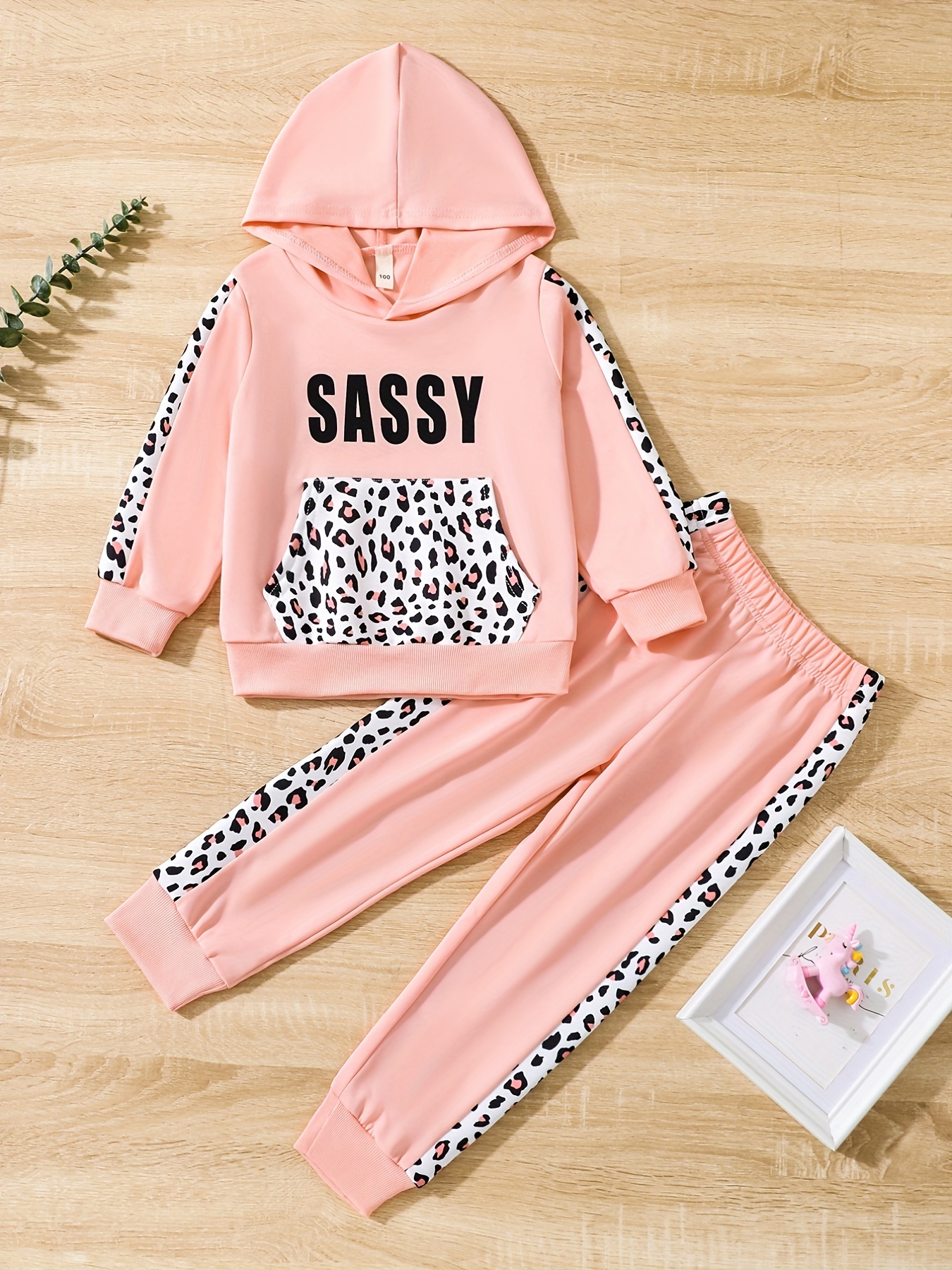 Tracksuit Set for Women's Fashion Leopard Splicing Sweatsuit 2PC