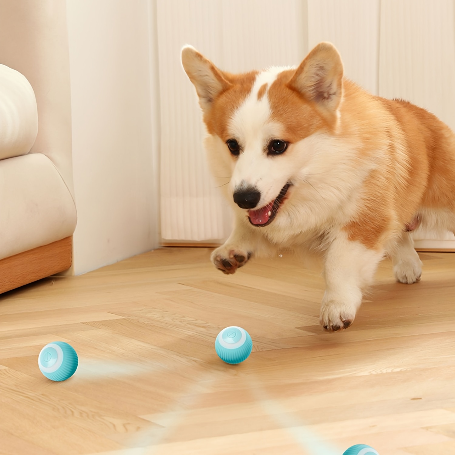 rolling balls for dogs