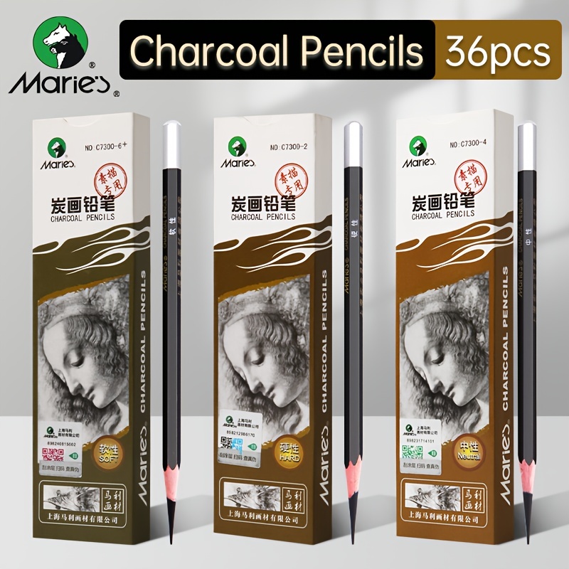 Professional Drawing Charcoal Pencils Set Graphite Pencil - Temu