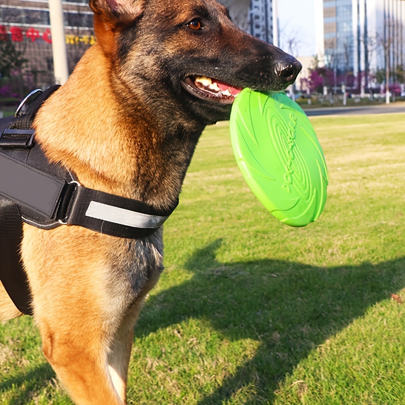 Giochi Cani Disco Volante Giochi Interattivi Allenamento - Temu Italy