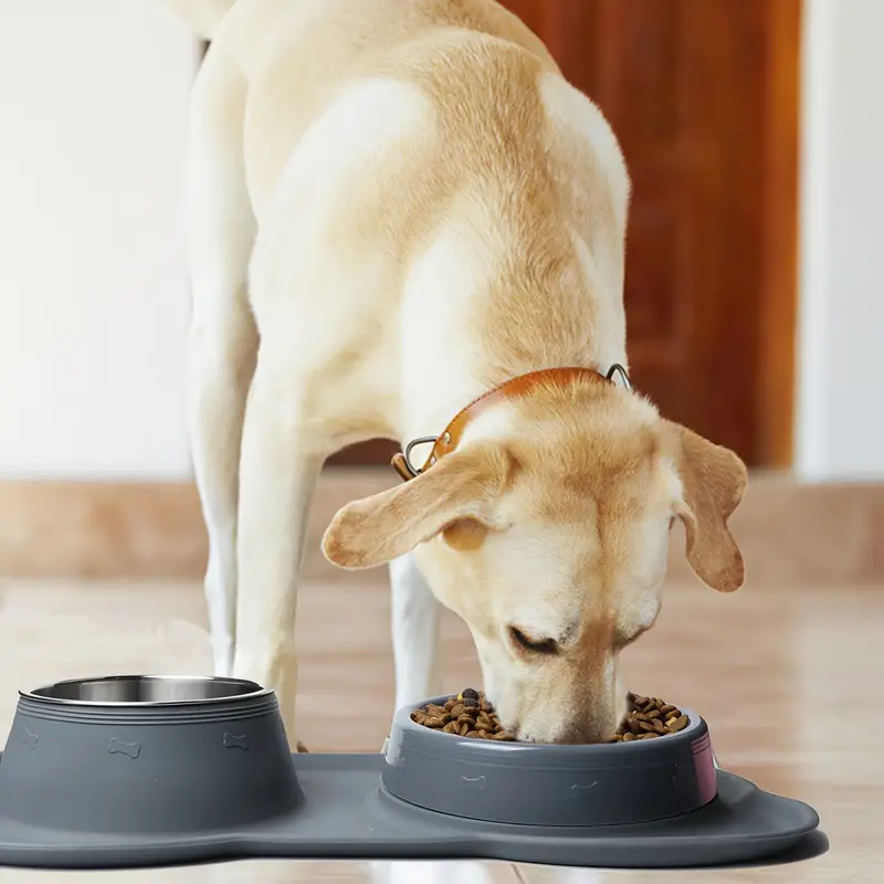 Slow Feeder Dog Double Bowls Stainless Steel 4 in 1 Food - Temu