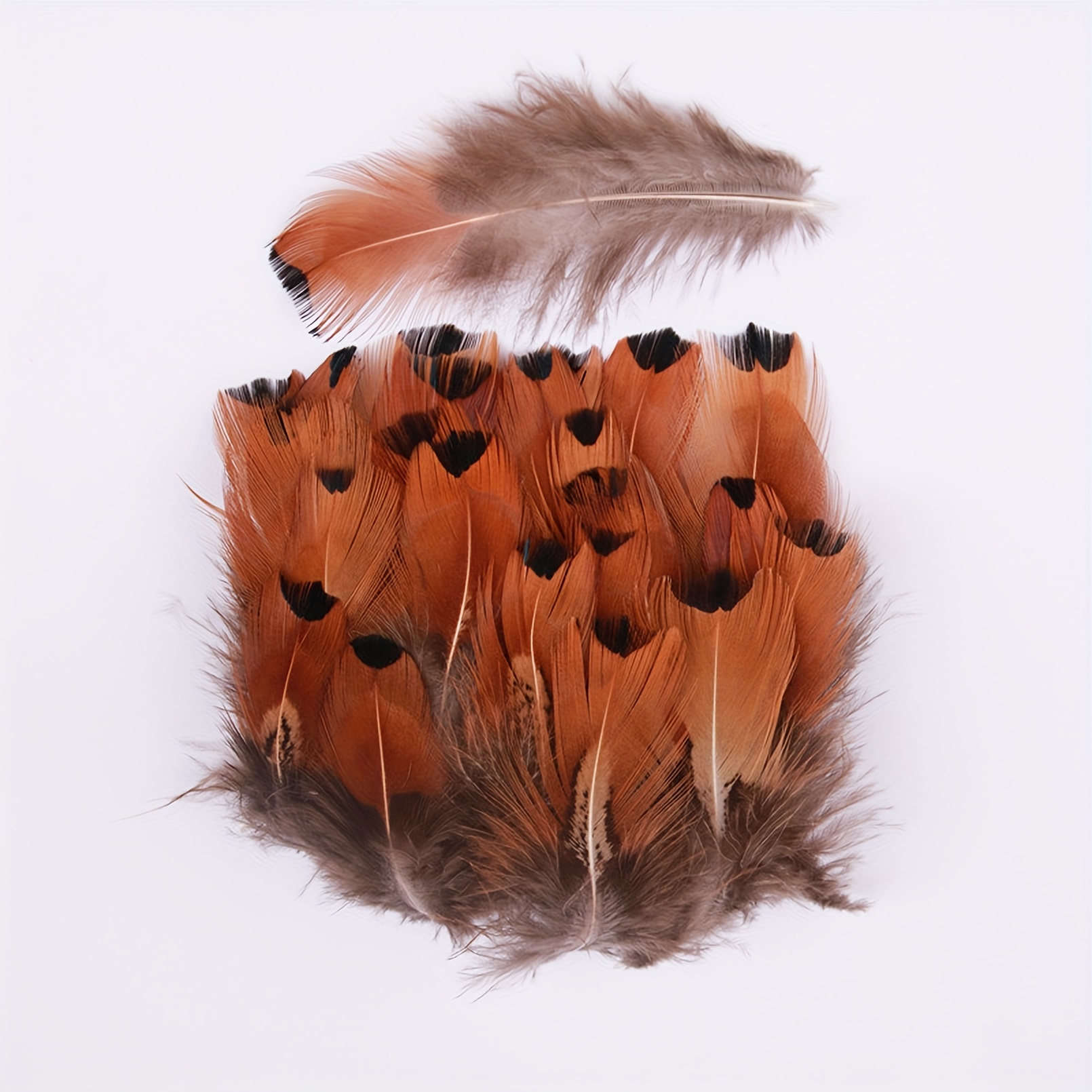 Natural Pheasant Feathers 4 Style Diy Craft Home Party - Temu