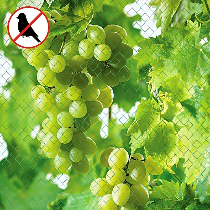 1pc, Green Anti Bird Netting For Garden Protect Vegetable Plants And Fruit  Tree, Gardening Net Bird Proof Net Potted Protection Mesh Net Grape Cherry