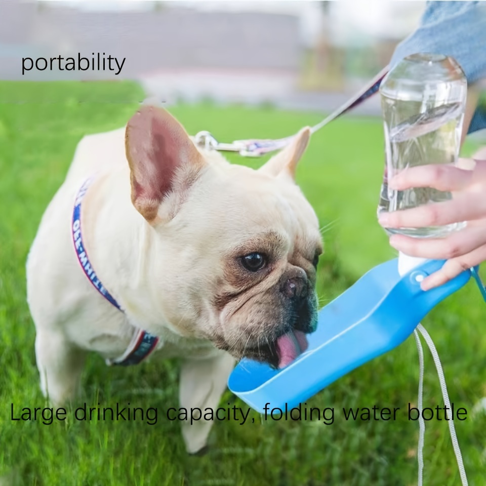 Dog drinking bottled outlet water dispenser