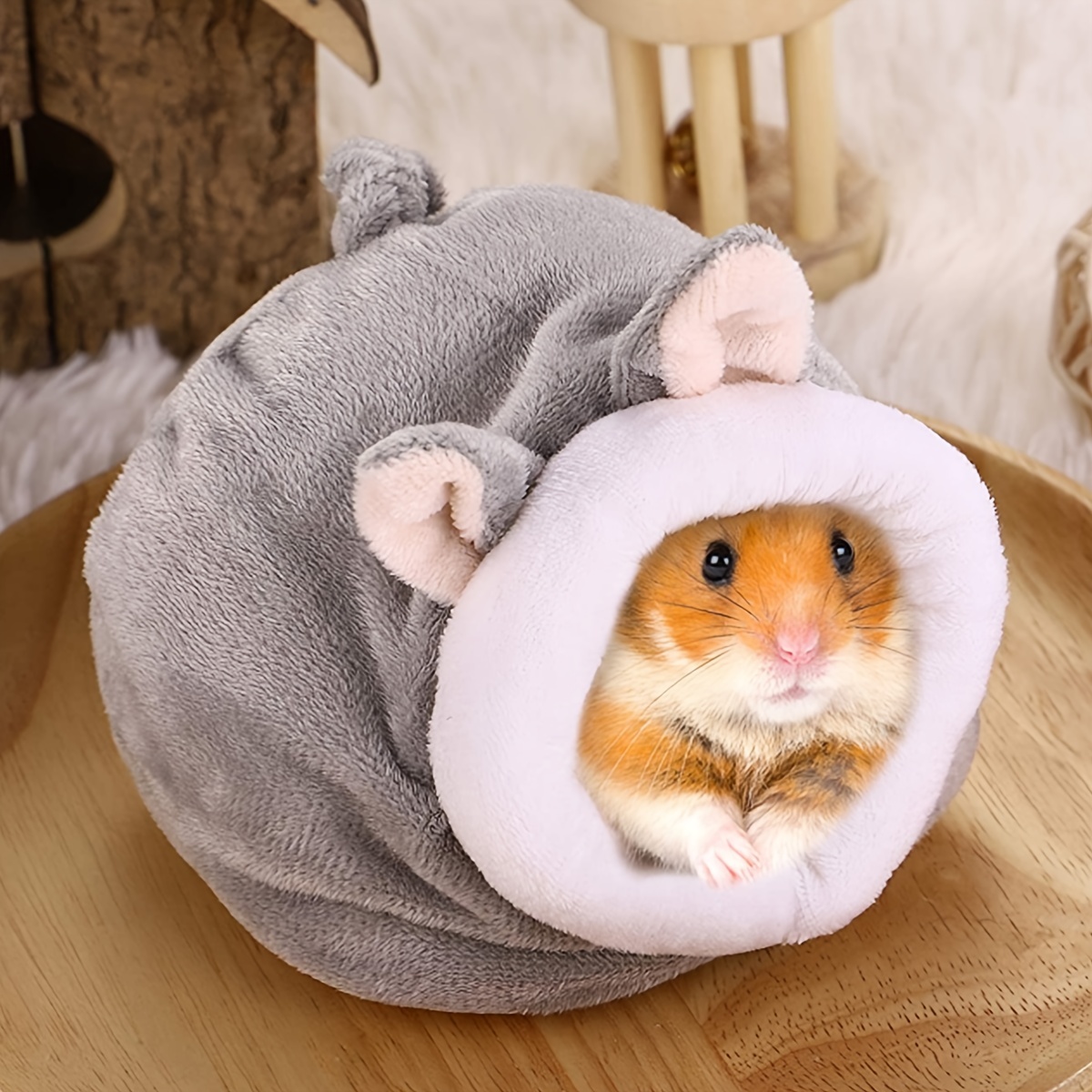 Do hamsters best sale get colds