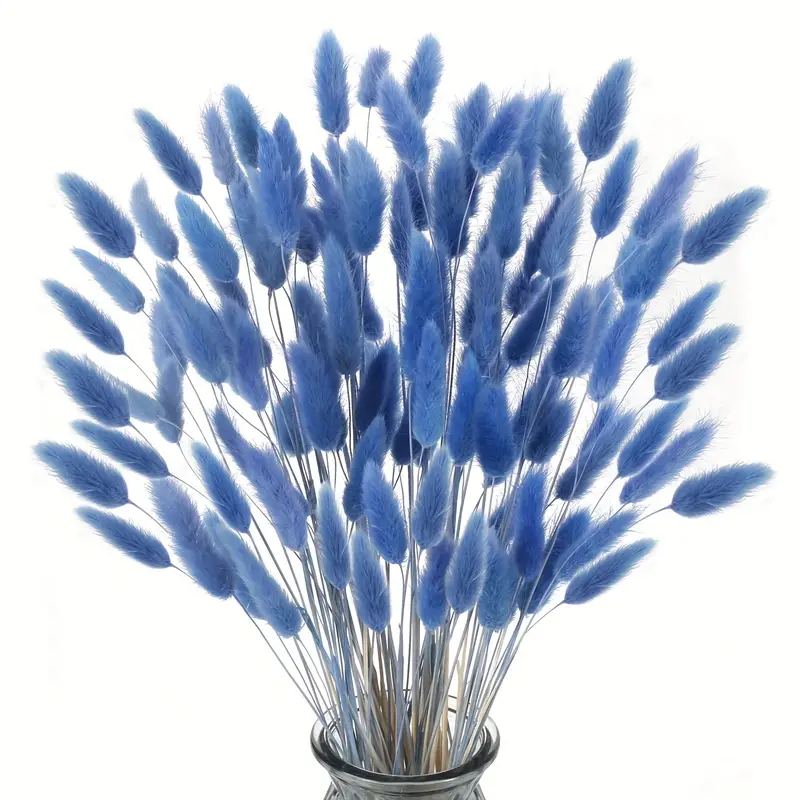 Dark Blue Lagurus Bunny Tails Dried Flowers Boho Home - Temu