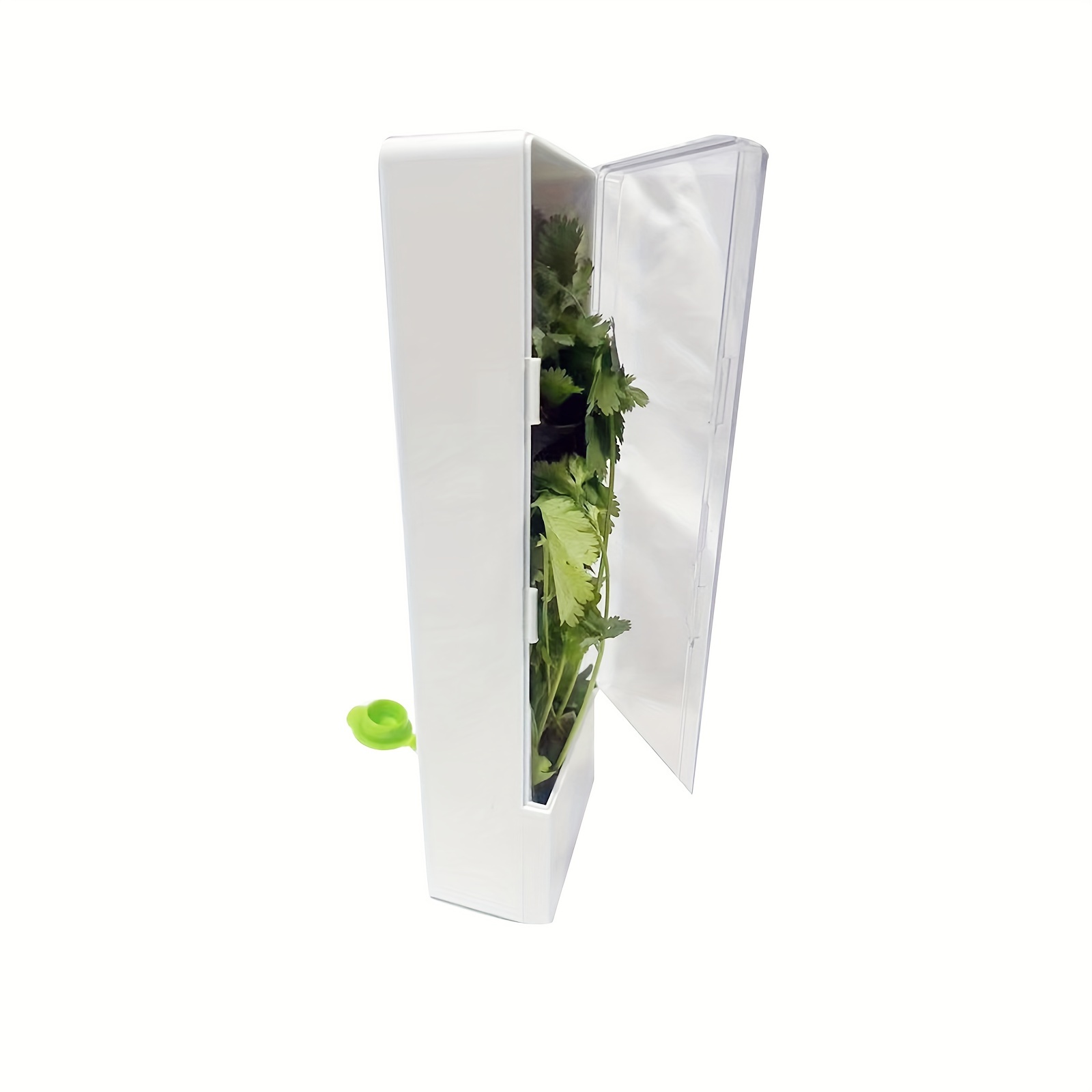 1pc Herb Keeper Vegetable Storage Container