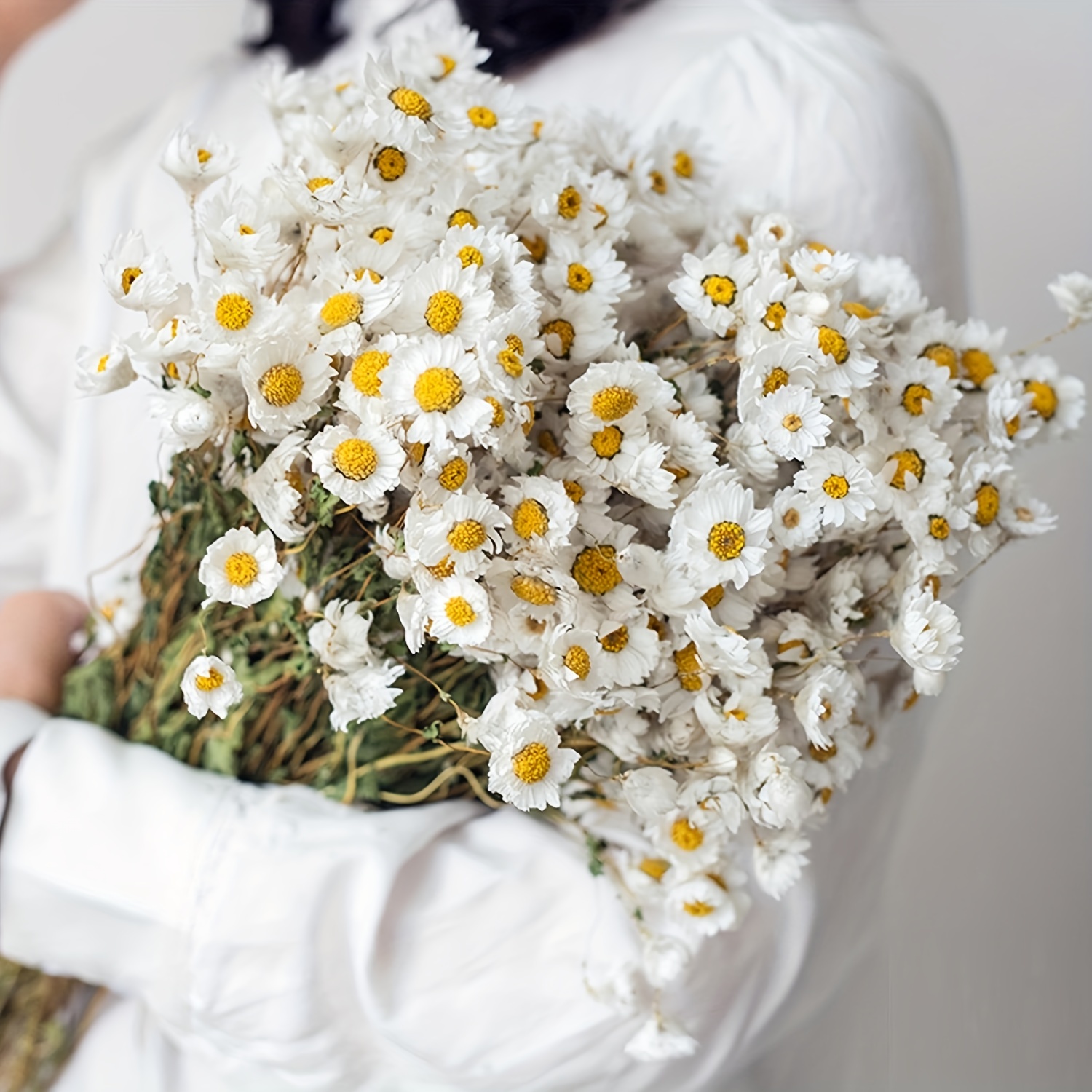 200 Stems Natural Dry Flowers Brazilian Small Star Daisy Decorative Dried Flowers Mini Daisy Chamomile Bouquet for Wedding Floral Arrangements Home