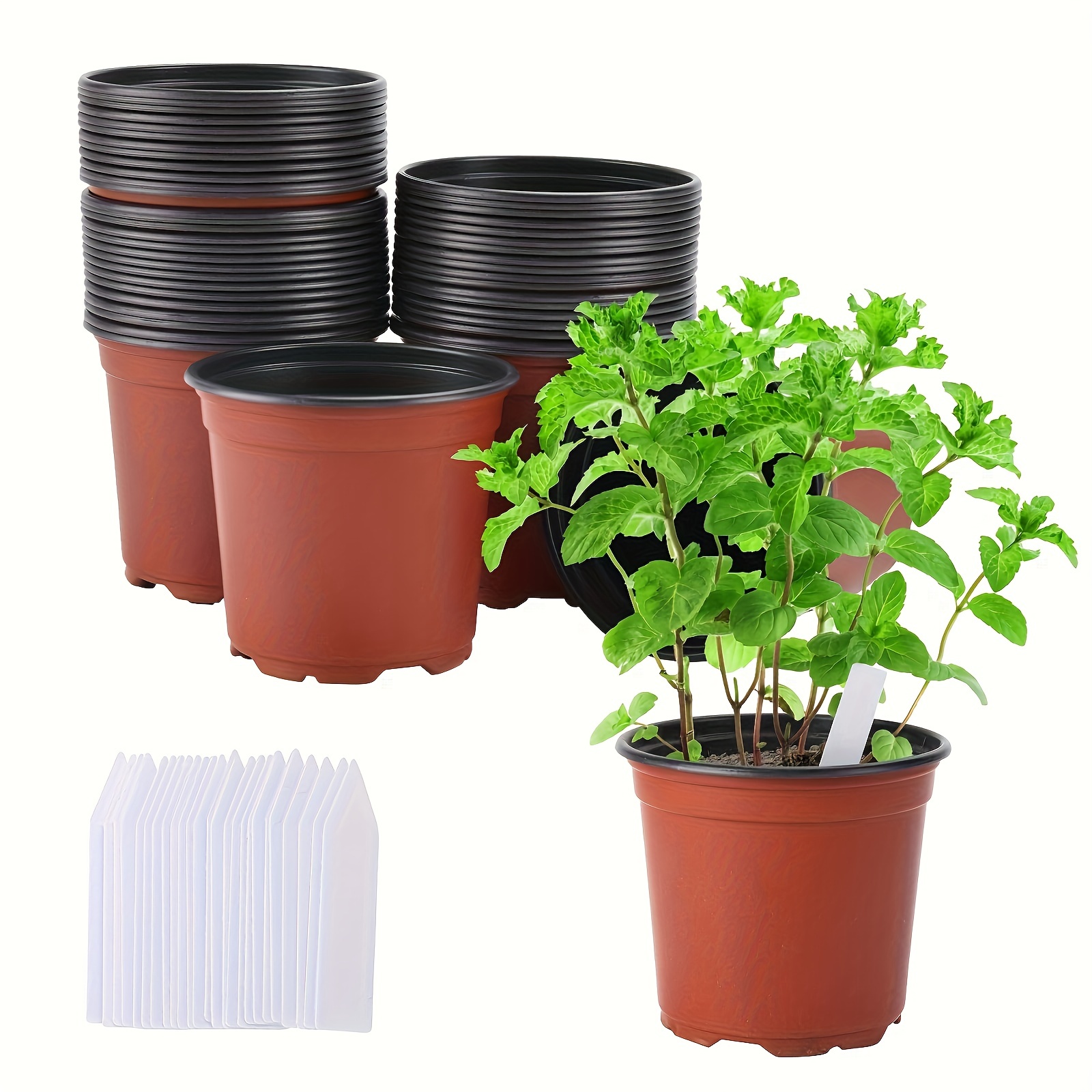 50pcs Pots Plantes En Plastique Démarrage Culture Graines - Temu