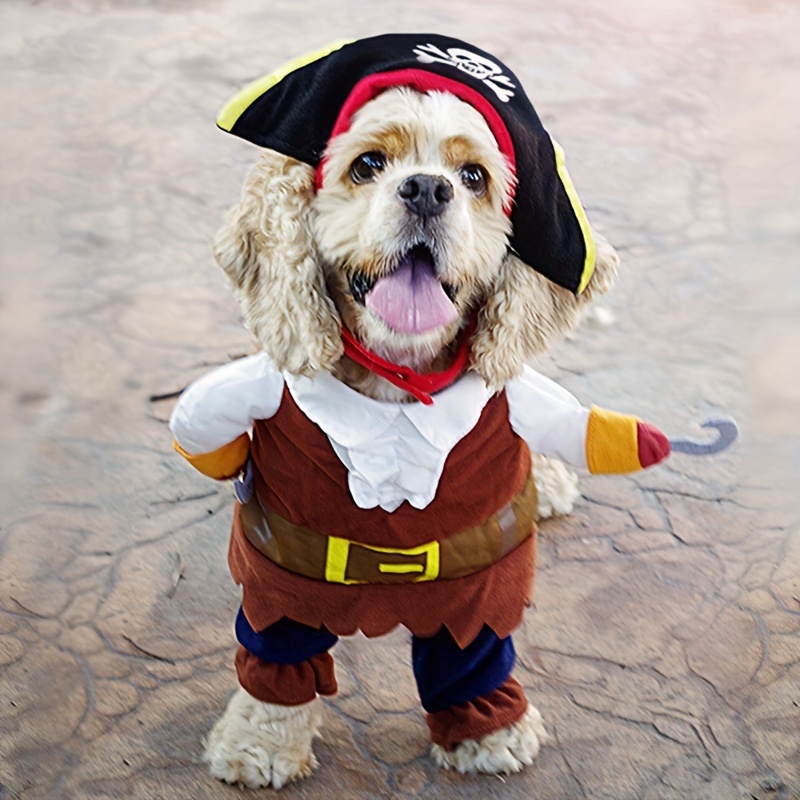 Falda pirata de encaje para Halloween Juego de rol de manga larga Vestido  Fiesta temática Escenario Actuación Disfraz