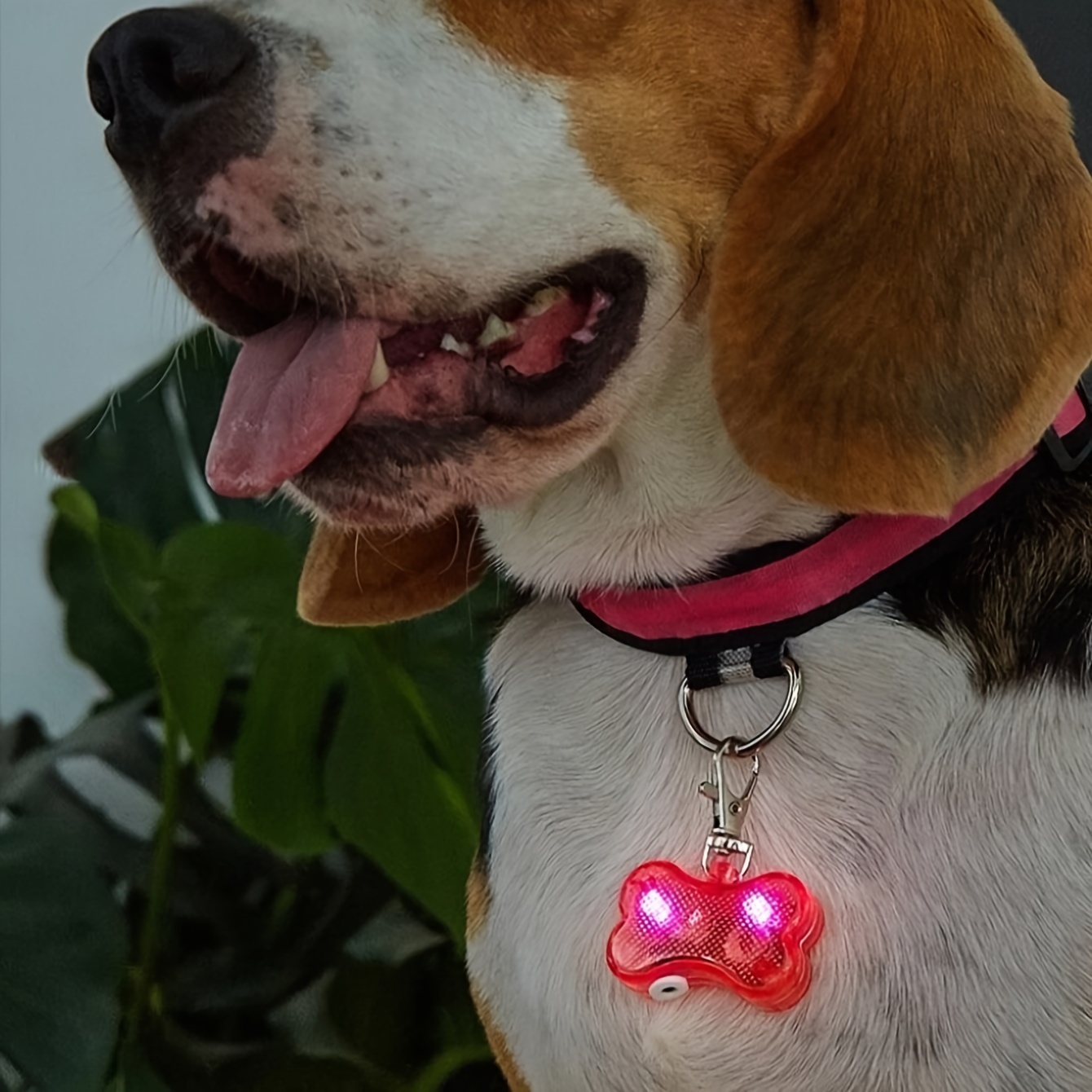 Collare Per Cani A Led, Luce Per Collana Per Cani Ricaricabile Usb, Collare  Luminoso Per Cani Per La Sicurezza Notturna - Forniture Per Animali  Domestici - Temu Italy