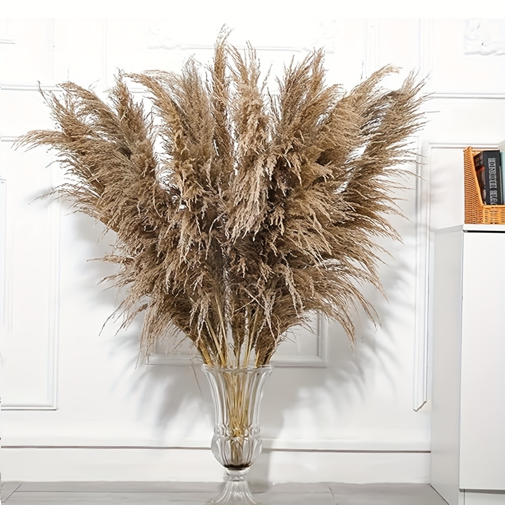 Pezzi Erba della Pampas Artificiale Decorative, 45cm Finta piccolo  Essiccata Fiori Boho Beige Piume, Naturale Secchi