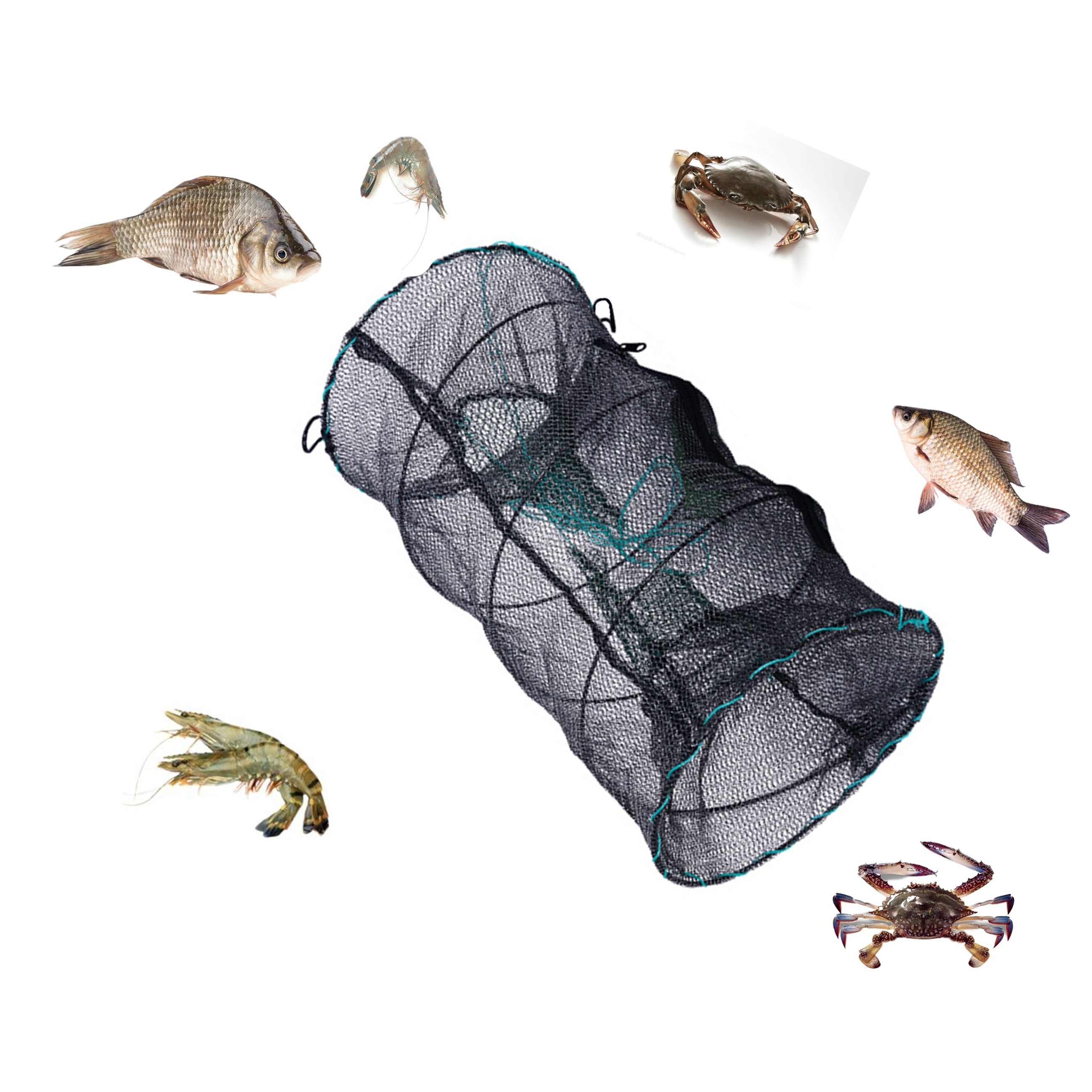 LIZEALUCKY Folded Fishing Trap, Crab Shrimp Fishes Crawfish Net