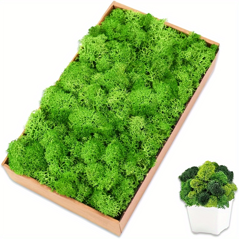 Zukuco Artificial Moss Vines Hanging Plants, Faux Greenery Moss