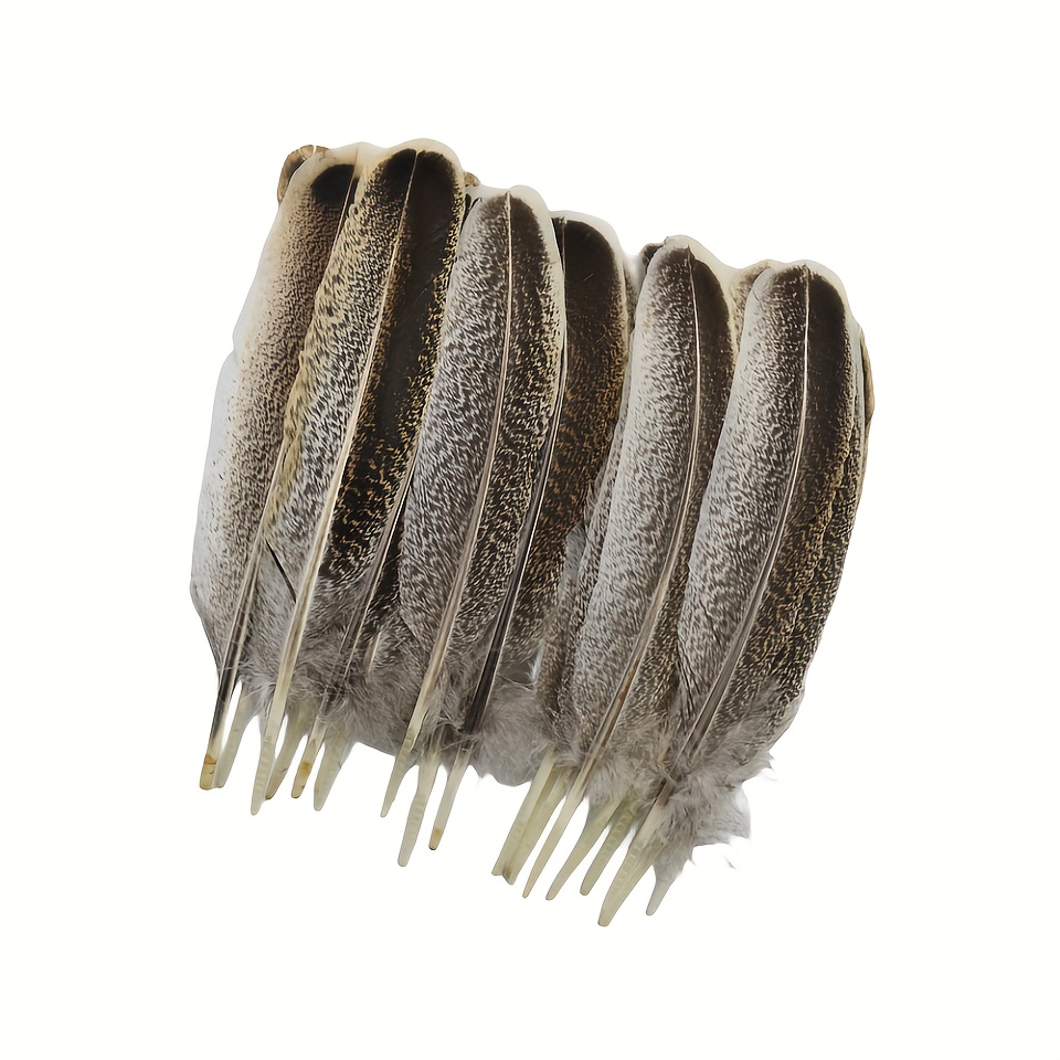 Mottled Oak Turkey Feathers in Natural Feathers