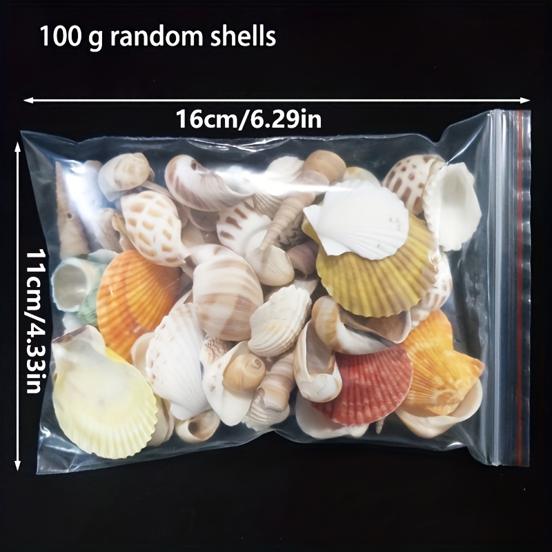  Sea Shells for Decorating Crafting Mixed Beach Natural  Seashells for DIY Crafts Home Mermaid Christmas Decorations Beach Theme  Party Wedding Decor Conch Shells Vase Filler : Home & Kitchen