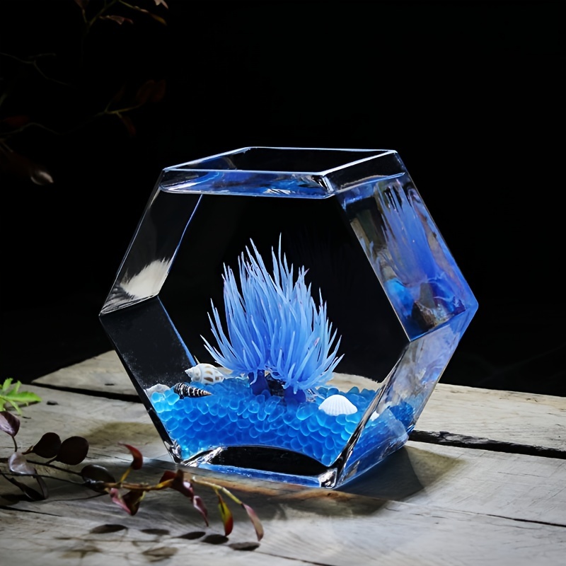 Creative Hexagonal Glass Fish Tank Fish Bowl Vase Desktop - Temu Slovakia