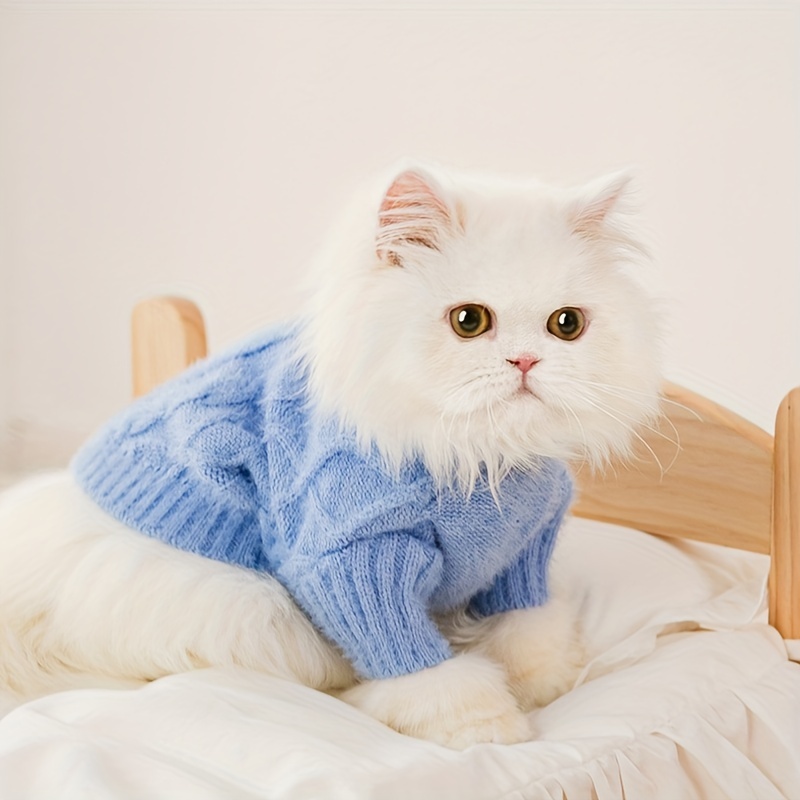 Persian store cat clothes