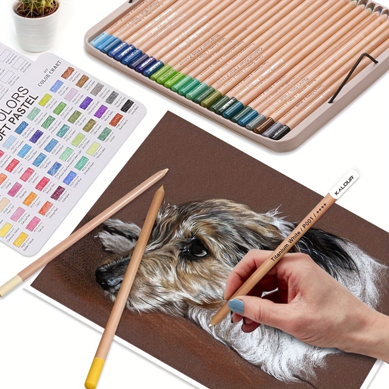 KALOUR Professional Colored Charcoal Pencils Drawing Set,12 Pieces Pastel Chalk Pencils for Sketching, Shading, Blending, Portrait, Black White