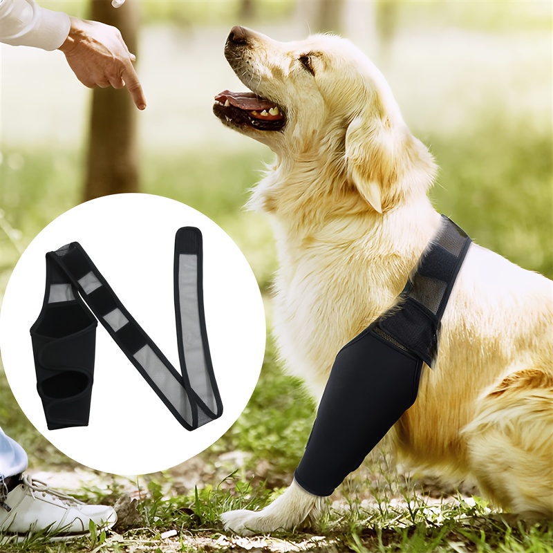 Extra Supportive Canine Leg Braces Protect Recover Your Dogs Hock