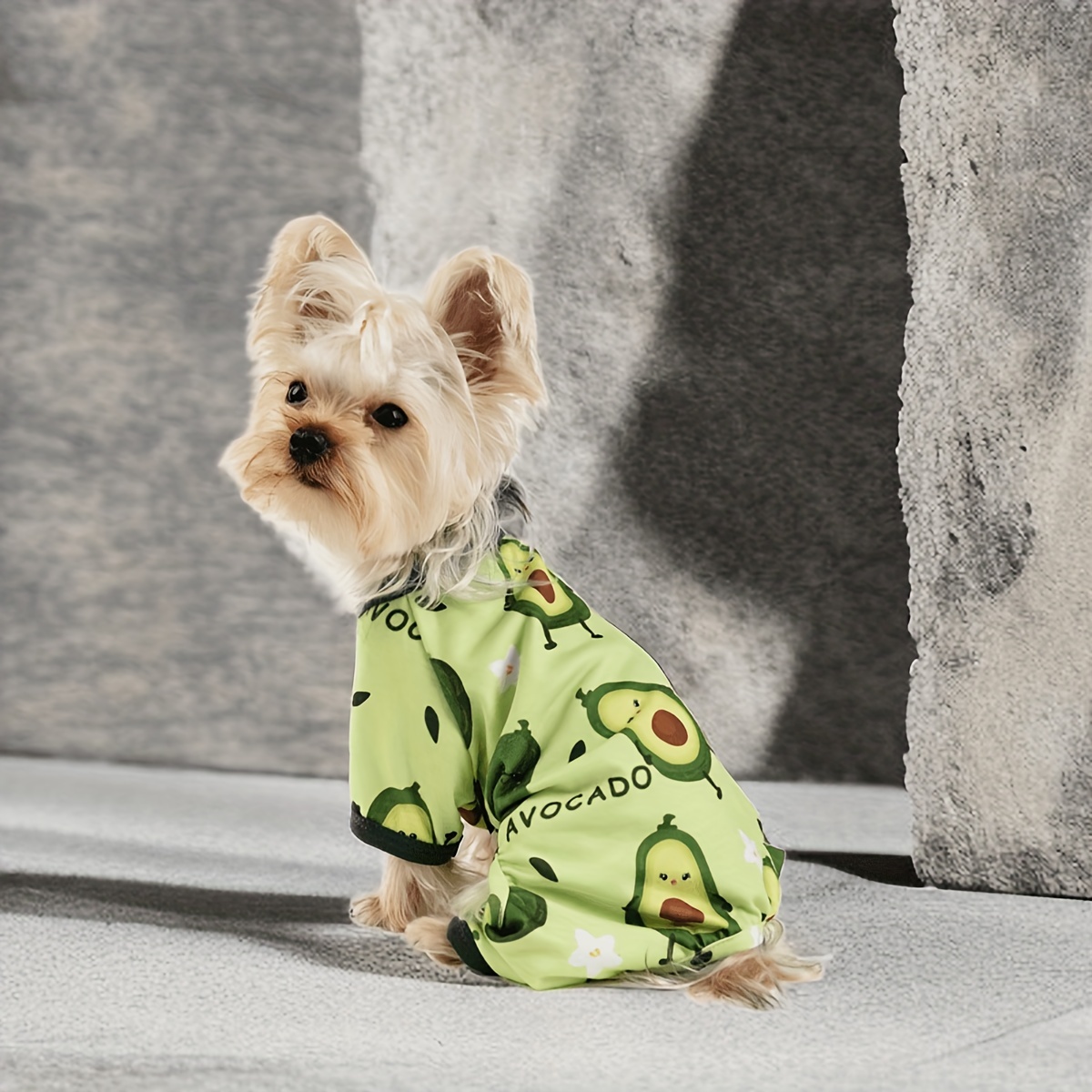 Pyjama Vetement Pour Chien Yorkshire Acheter Vêtements à Capuche