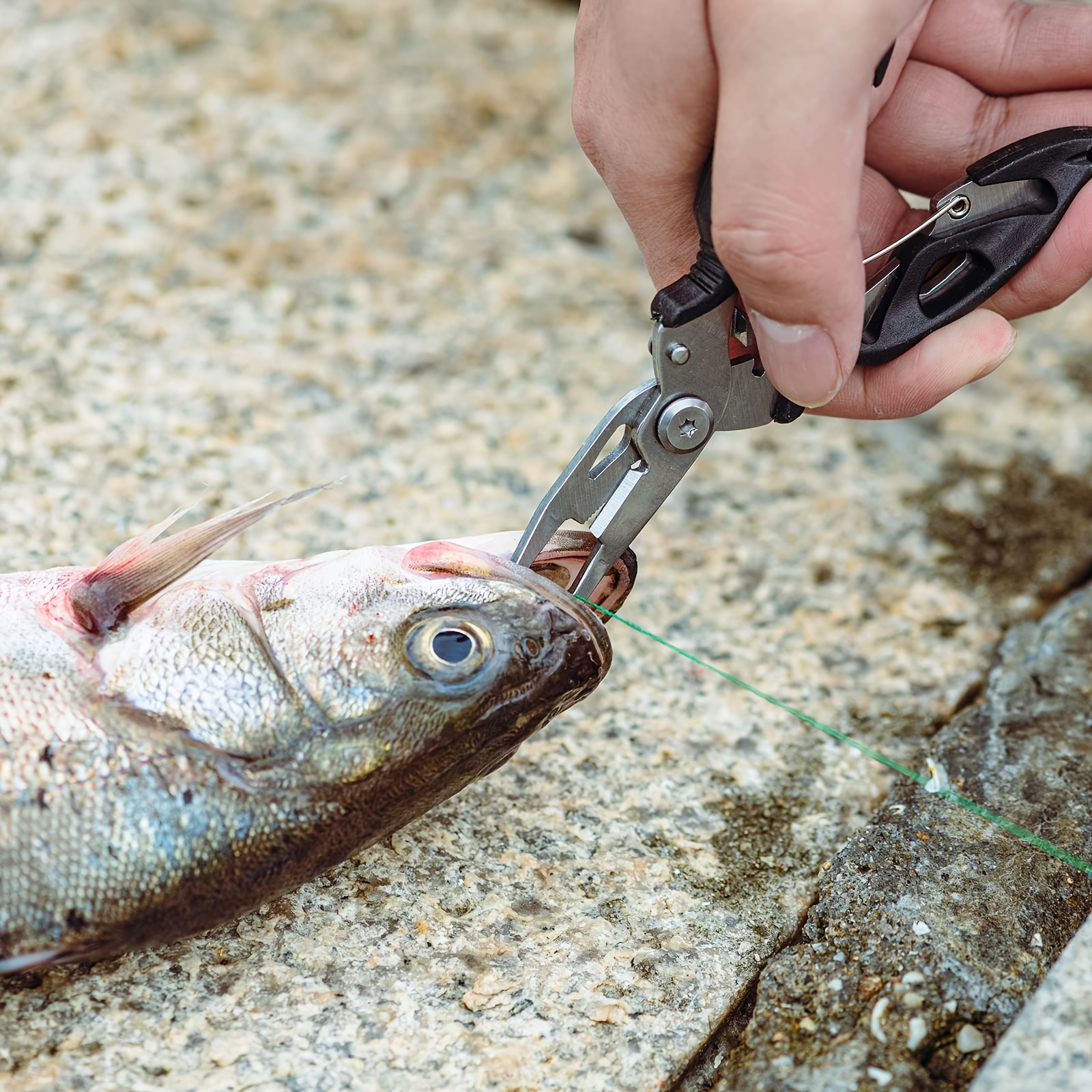 Stainless Steel Fishing Grabber Grip Adjustable - Temu