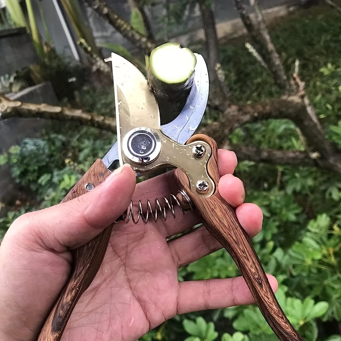 8.6 Gardening Shears, Professional Bypass Pruner Hand Shears, Tree  Trimmers Secateurs, Hedge Garden Shears, Clippers For Plants, Gardening,  Trimmin