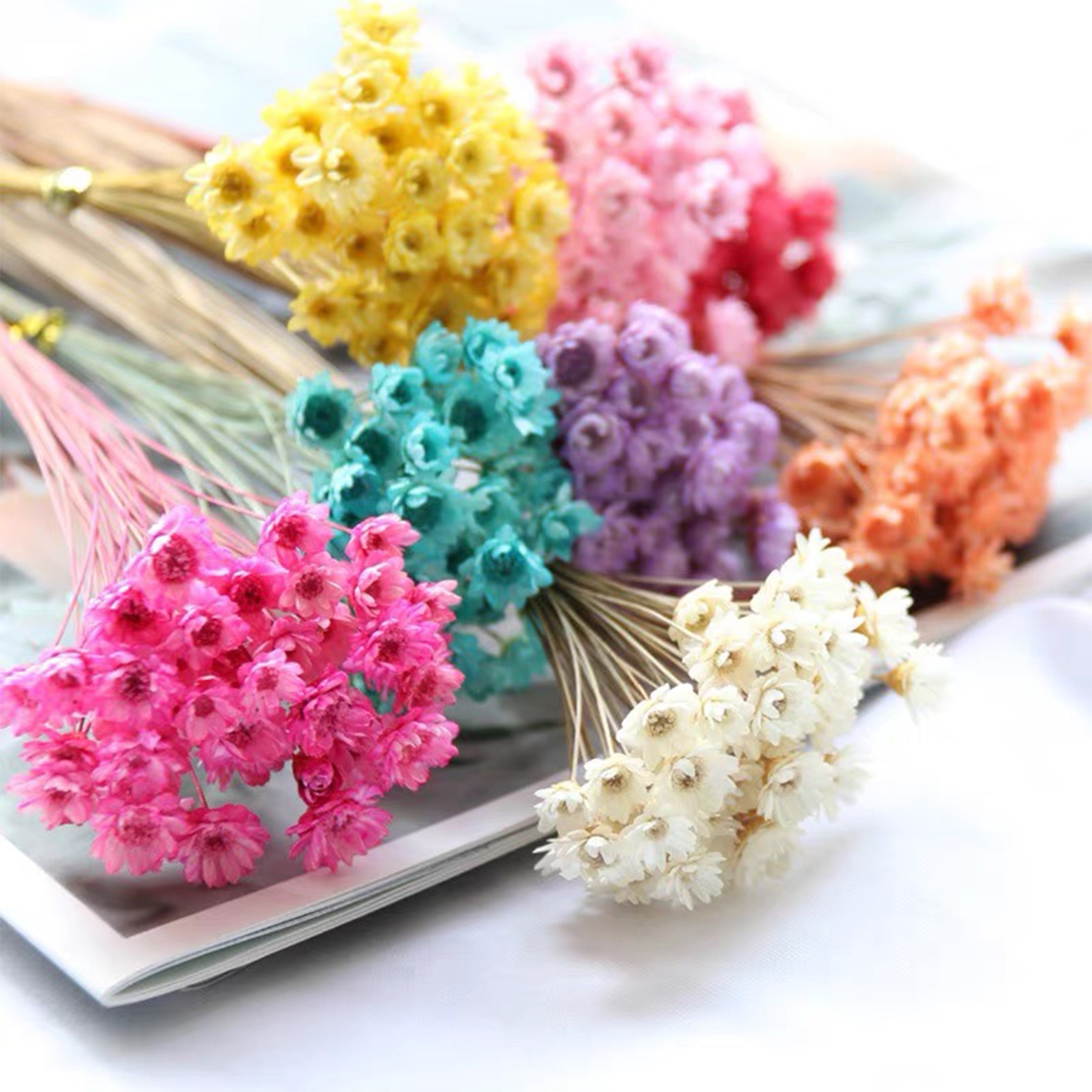 Flores secas naturales brasileñas pequeñas – Estrella – Minirramo de  manzanilla decorativo de margaritas secas para bodas, arreglos florales
