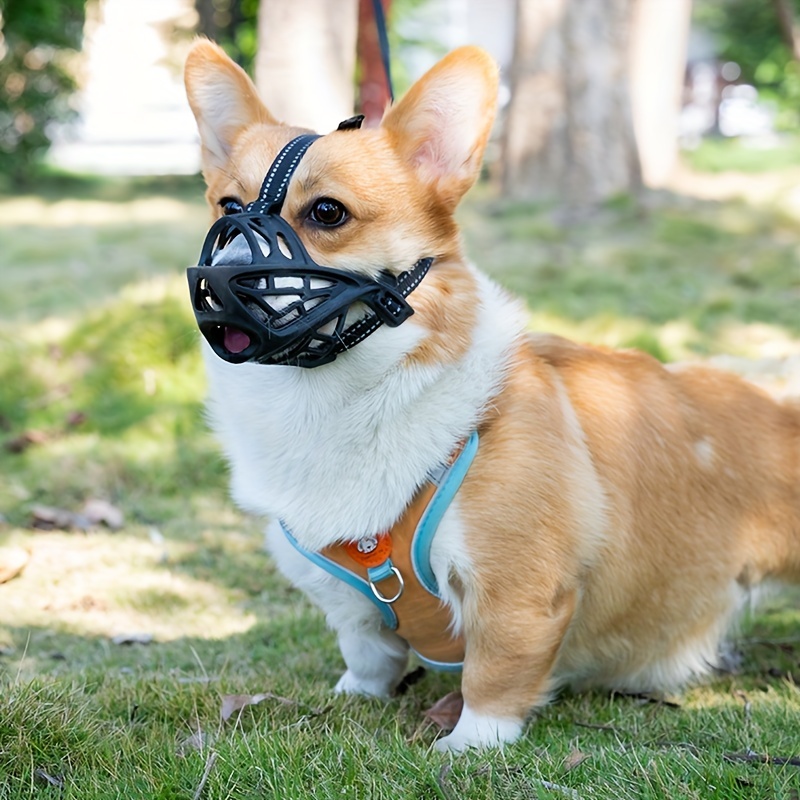 Medium on sale dog muzzle