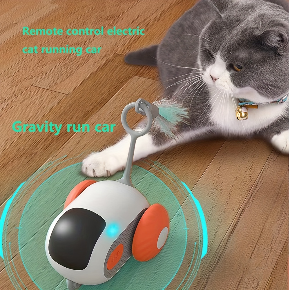Giocattolo per gatti robot Giocattolo fai-da-te Giocattolo interattivo  Giocattoli educativi intelligenti Adatto per regalo per ragazze - Prezzi e  caratteristiche