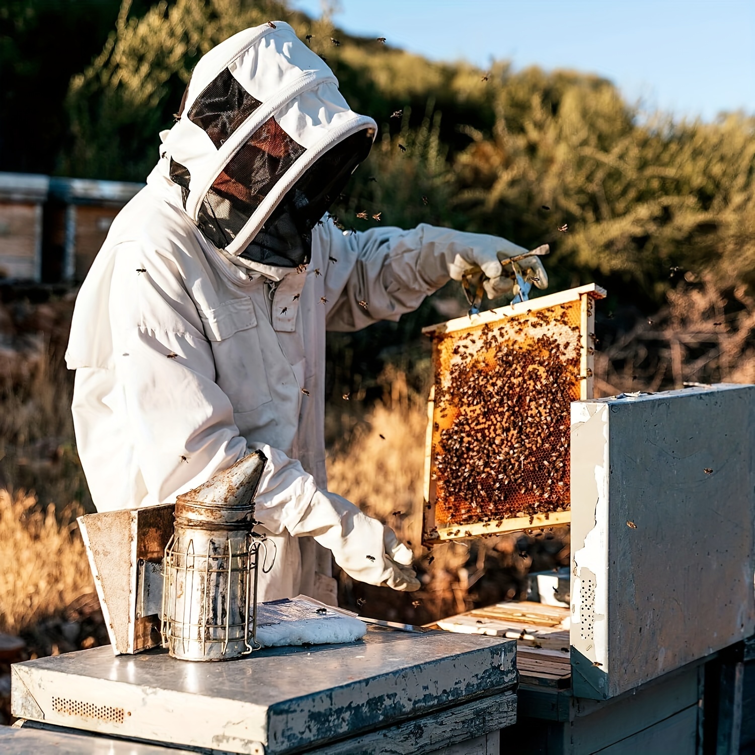 Traje de abeja profesional para hombres y mujeres, traje de apicultor  unisex con chaqueta protectora de abeja con capucha, pantalones, guantes  para