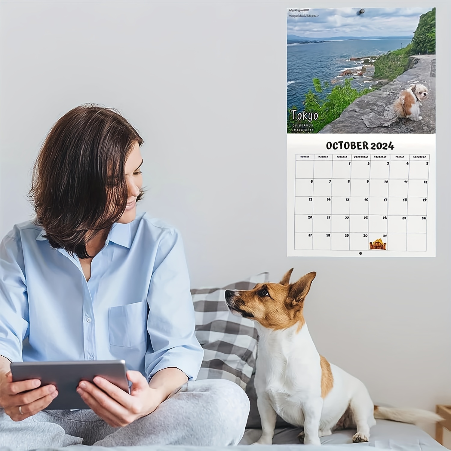 Calendario 2024 Cani Cacca In Posti Meravigliosi – - Temu Italy