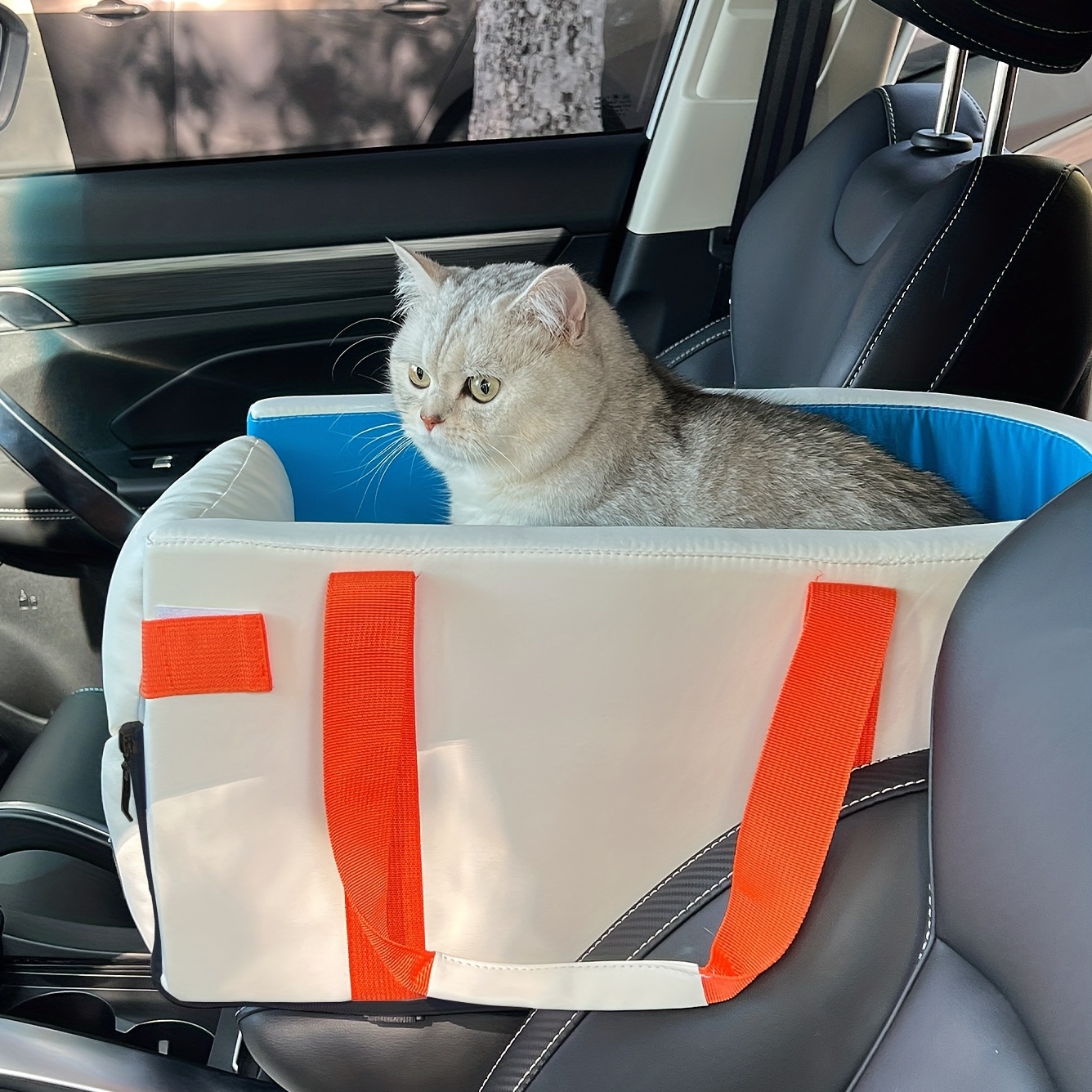 Panier de siège de voiture pour animaux détachable pour chat - Temu Belgium