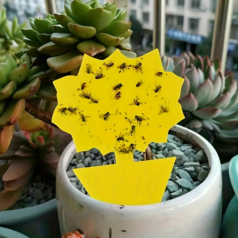 48Pcs Yellow Sticky Insect Traps Dual-Sided Sticky Fruit-Fly Trap  Houseplant Gnats Traps Indoor Fruit-Fly Stakes Trap Dropship