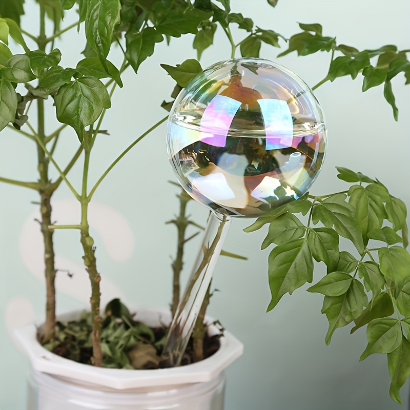 Globes d'arrosage pour Plantes, Ampoules en Verre pour Plantes à