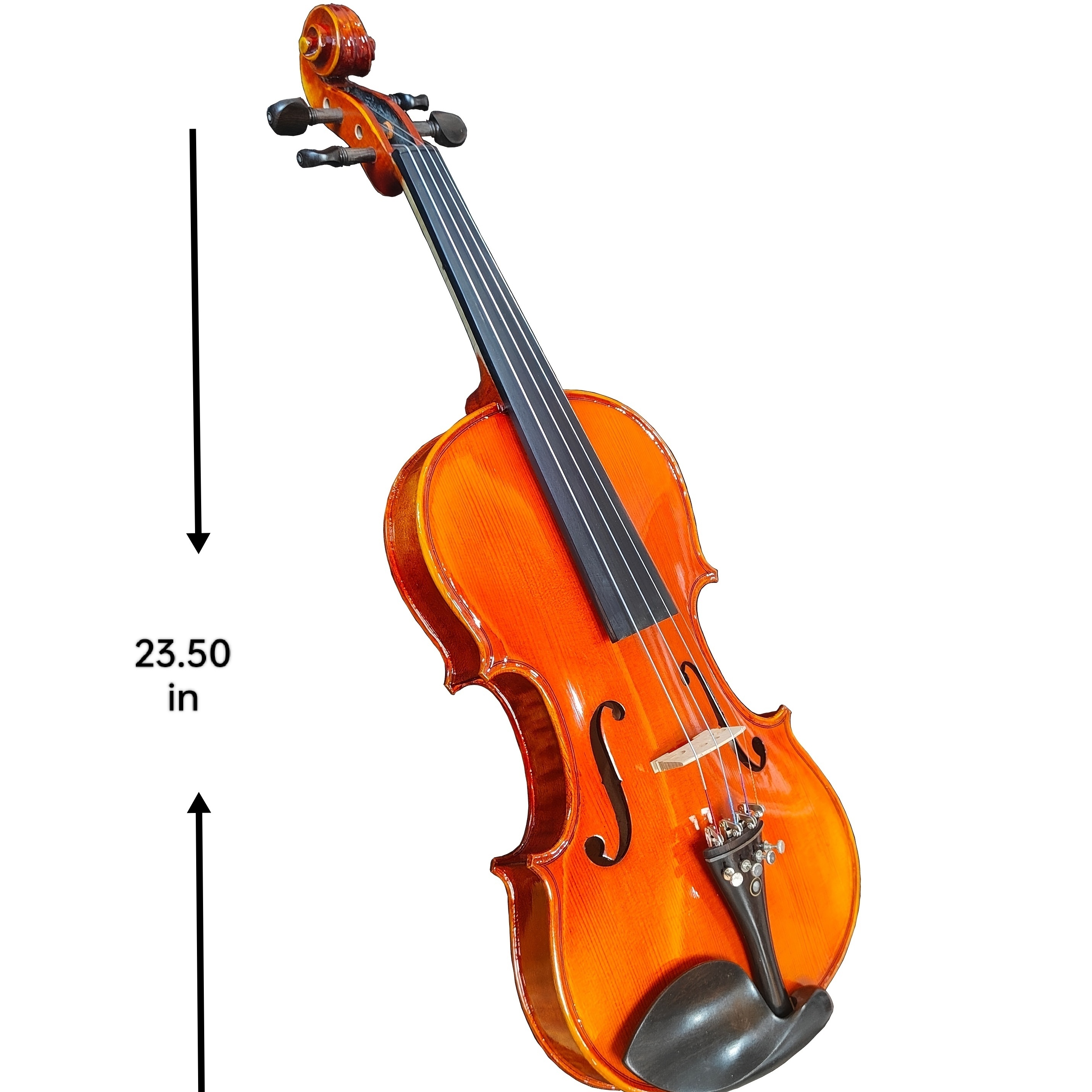 Buy Advanced Professional Violin 4/4 Set