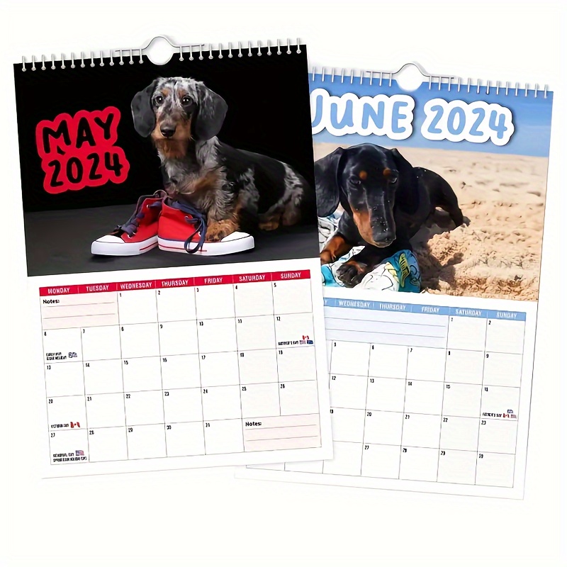 Cheeky Dachshunds 2024 Wall Calendar Fun Dogs Wall Calendar - Temu
