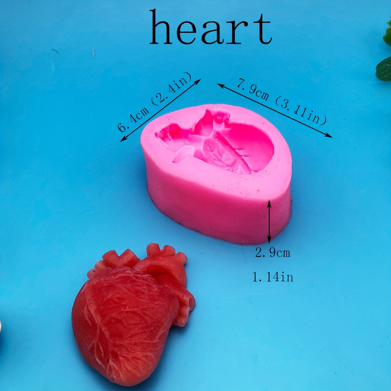 Heart Organ Silicone Mold