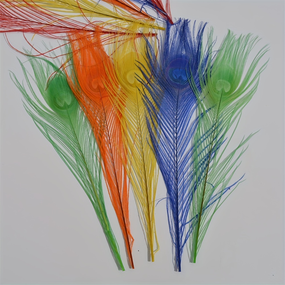 Pluma de pavo real de colores