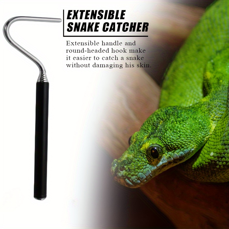 Grab Reptiles With Ease: Professional Retractable Snake - Temu
