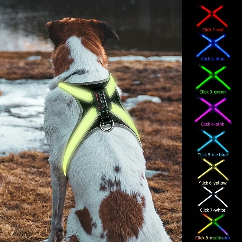 Nobleza Luz LED de Silicona para Collar de Perro,Luz de Seguridad para  Mascotas Impermeable para Caminar de Noche Accesorios de Perros,3  Modos，L8*W3.2CM(1 Pcs)