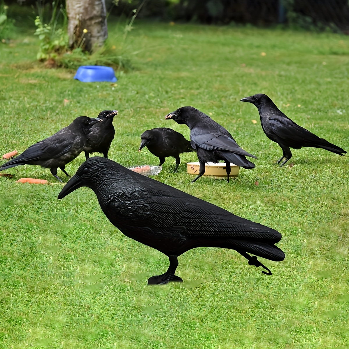 1 Pezzo, Decorazione Da Giardino Allaperto - Simulazione Repellente Per  Uccelli Corvo Corvo Nero - Efficace Repellente Per Piccioni - Mantieni Il  Tuo Giardino Libero Da Parassiti, Sconti Per Tutti