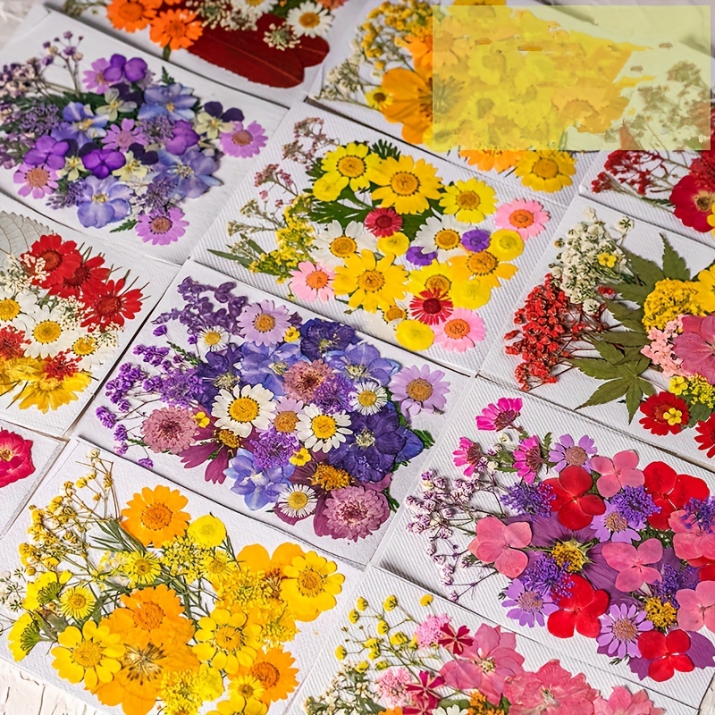 Diy Flowers For Crafts Vintage Dried Flowers For Notebook Clip Art