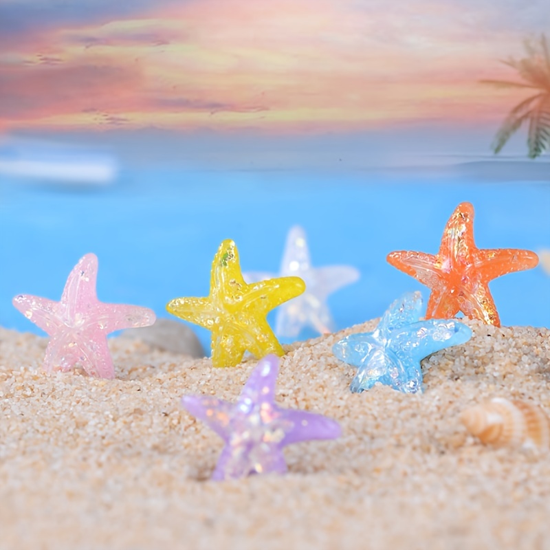 Decoración de estrellas de mar – Paquete de 20 estrellas de mar surtidas de  2 a 6 pulgadas – Estrellas de mar para manualidades, decoración de pared