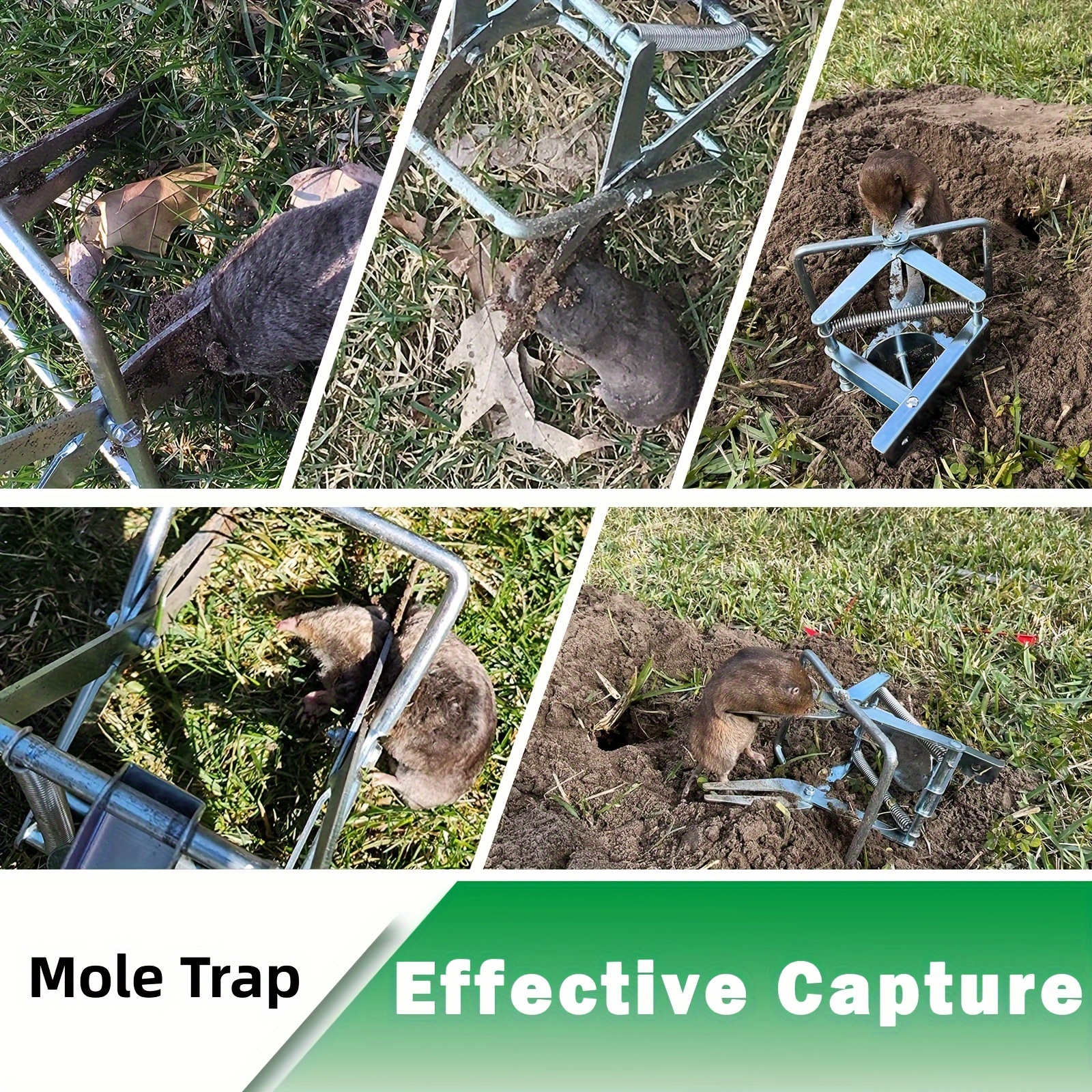 Wire Tek 1001 Easyset Mole Eliminator Trap (2 Pack), Mole Traps That Kill  Best, Scissor Mole Trap, Mole Killer for Lawns, Mole Traps for Lawns - Made