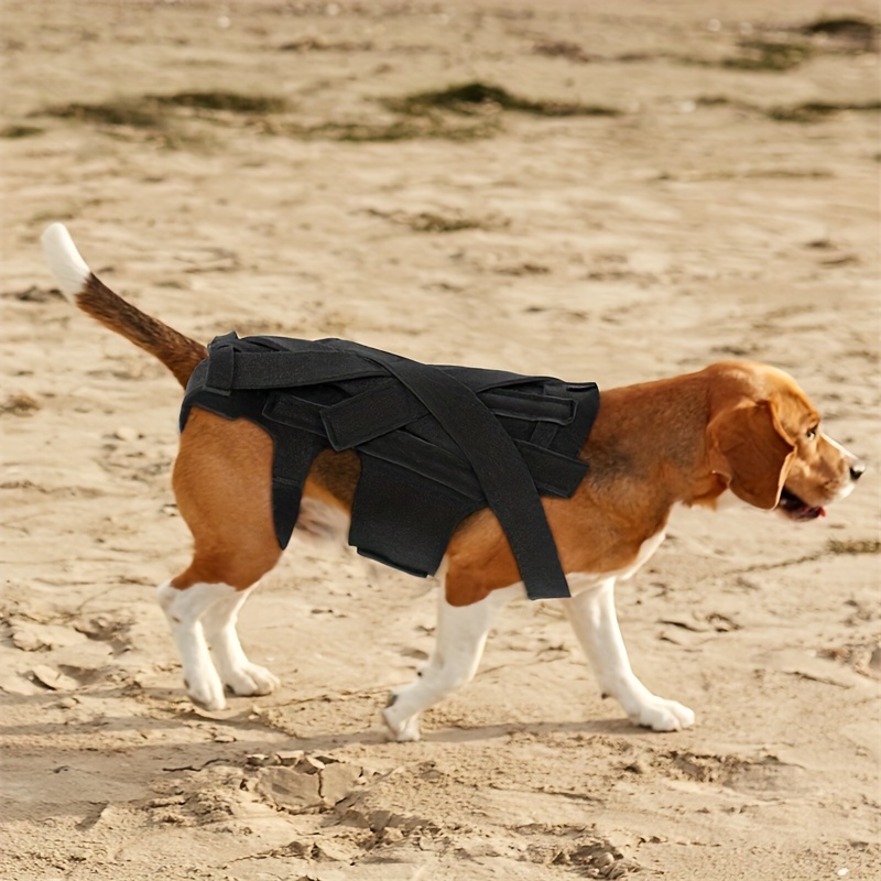 Dog Back Brace Back Support Wrap Adjustable Full Body Harness Protective  Vest for Various Sizes Injured Elderly Dogs - AliExpress