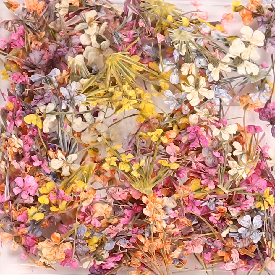 Dry dried flowers nail art decoration milkbath summer naturaleza muerta  para uña