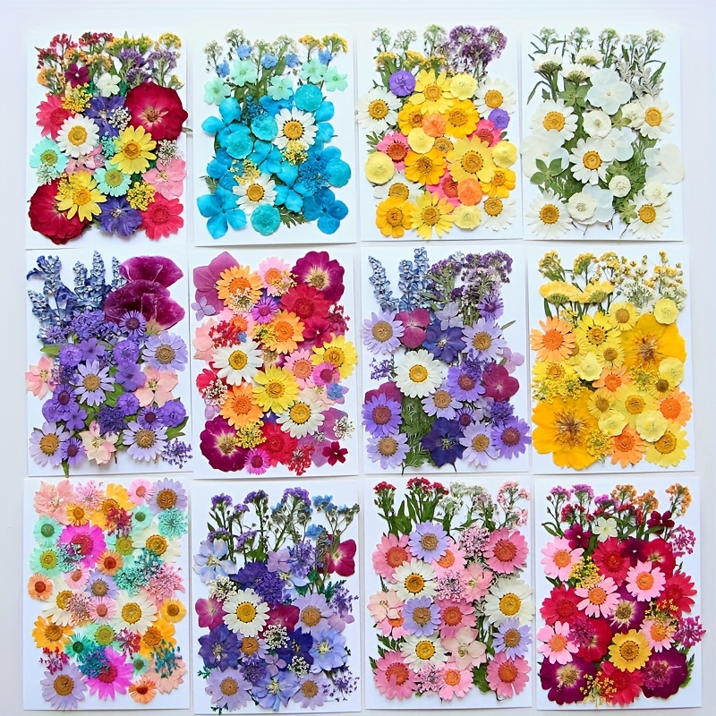 103 Pcs Real Dried Pressed Flowers Small Dried Flowers Leaves Set