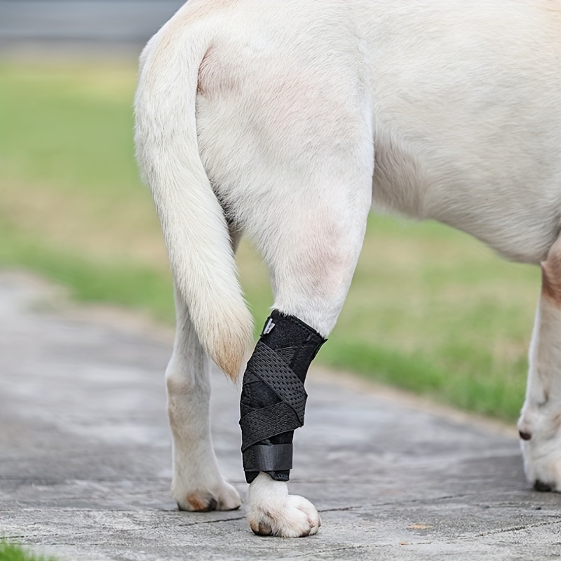 Pet Dog Leg Brace For Leg Injuries Injury And Sprain Temu