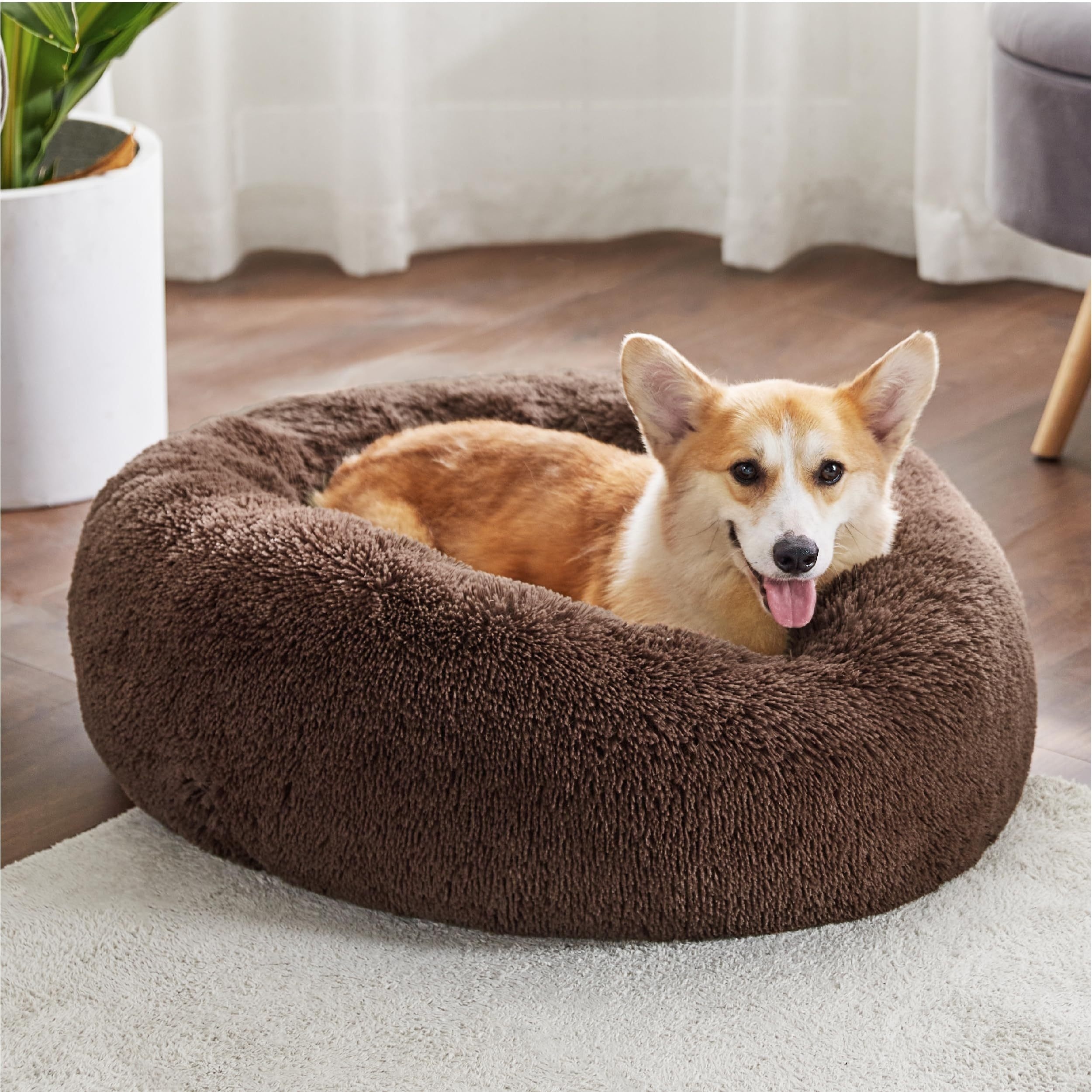 Corgi dog clearance bed